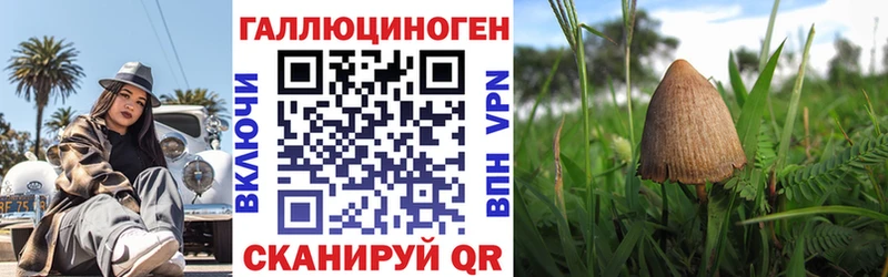 Псилоцибиновые грибы Psilocybe Шарыпово