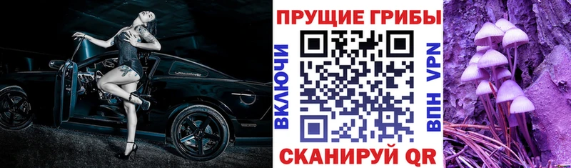 Псилоцибиновые грибы Cubensis  Купить  Шарыпово 